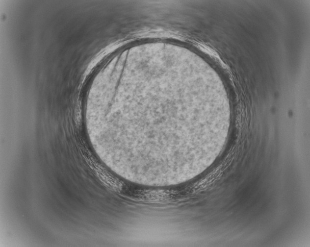 X0000085731167200704131612