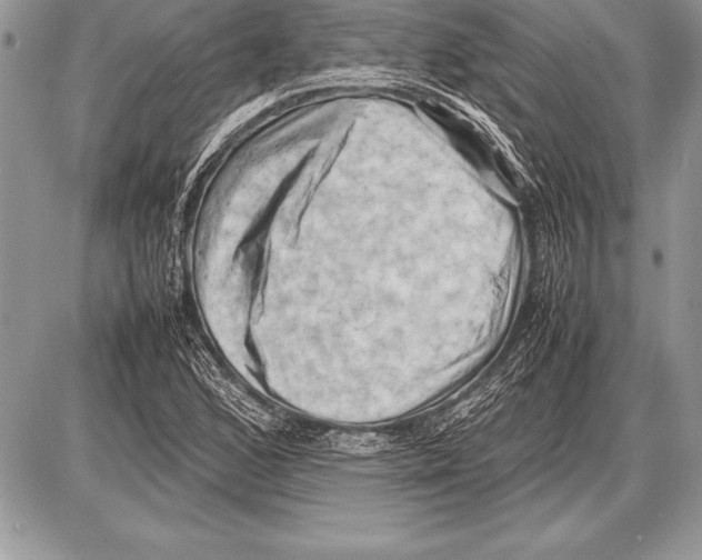 X0000085731168200704131612