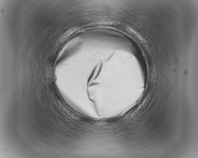 X0000085731169200704131612