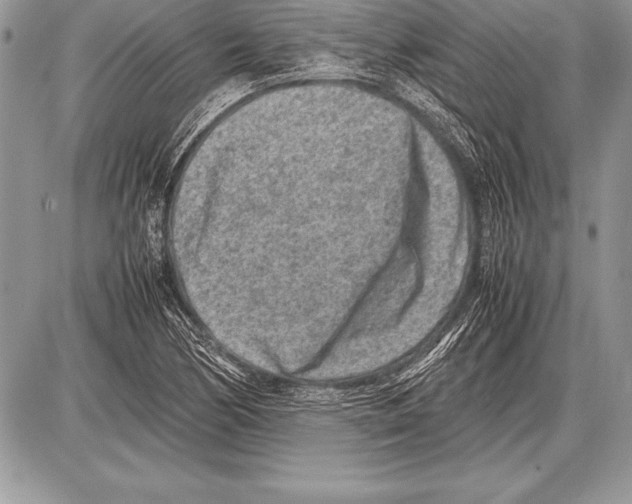 X0000085731170200704131612