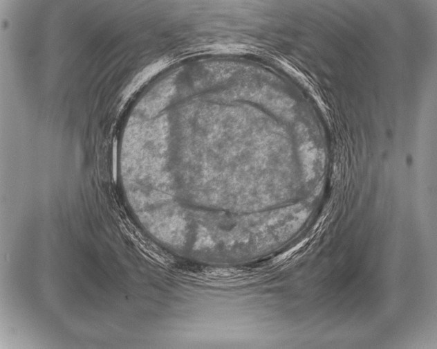 X0000085731171200704131611