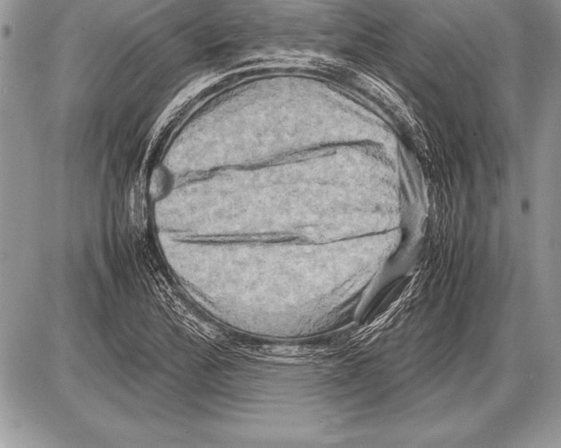 X0000085731172200704131611