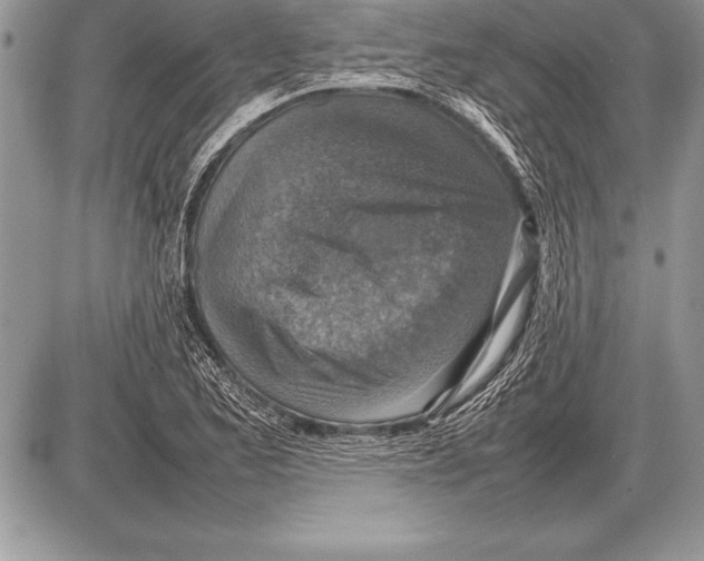 X0000085731173200704131611