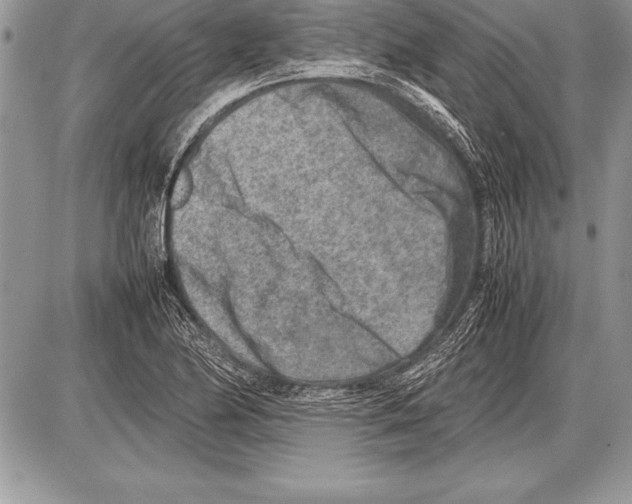 X0000085731174200704131611