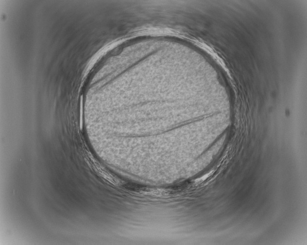 X0000085731175200704131611