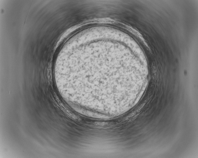 X0000085731176200704131611