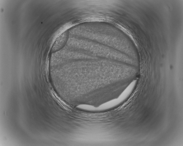 X0000085731179200704131611