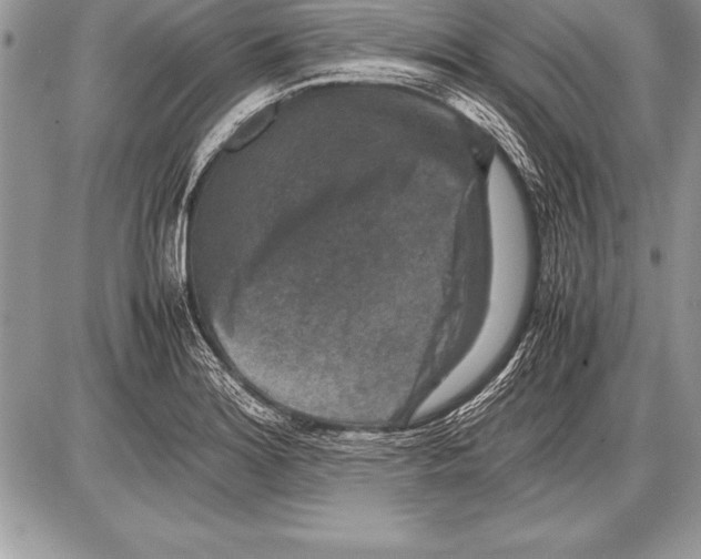 X0000085731180200704131611