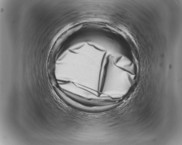 X0000085731181200704131611