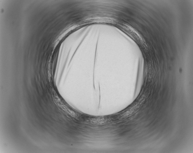 X0000085731182200704131611