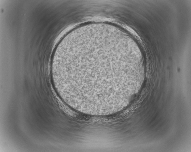 X0000085731183200704131611