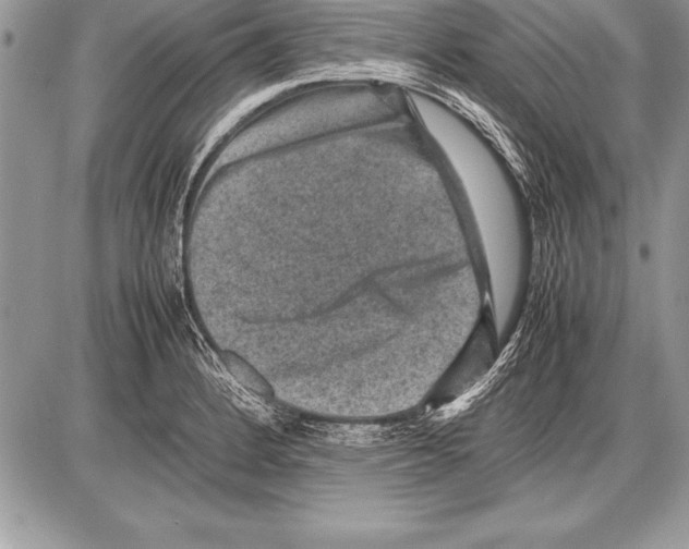 X0000085731184200704131611