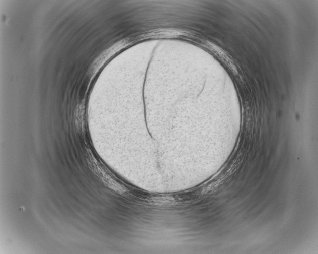 X0000085731186200704131611