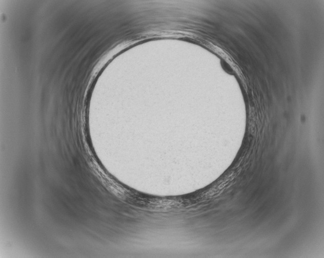 X0000085731187200704131611