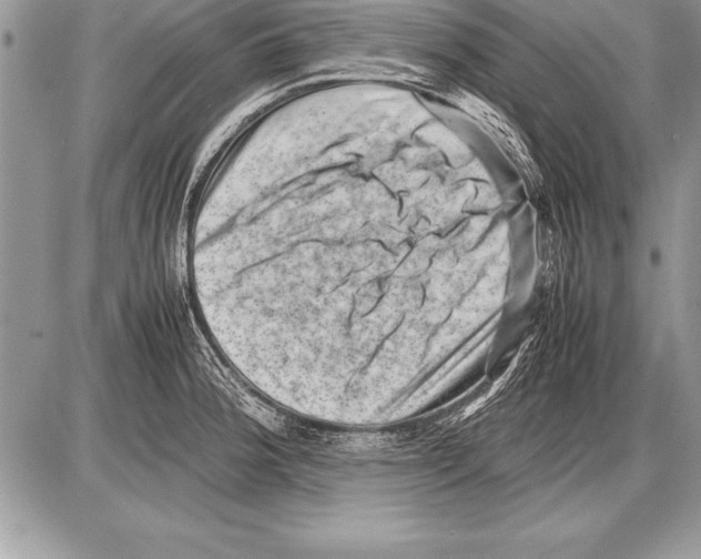 X0000085731188200704131611