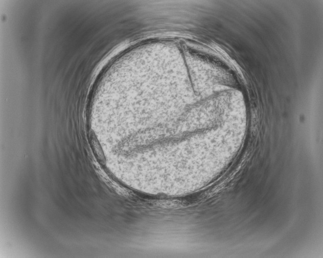 X0000085731189200704131611