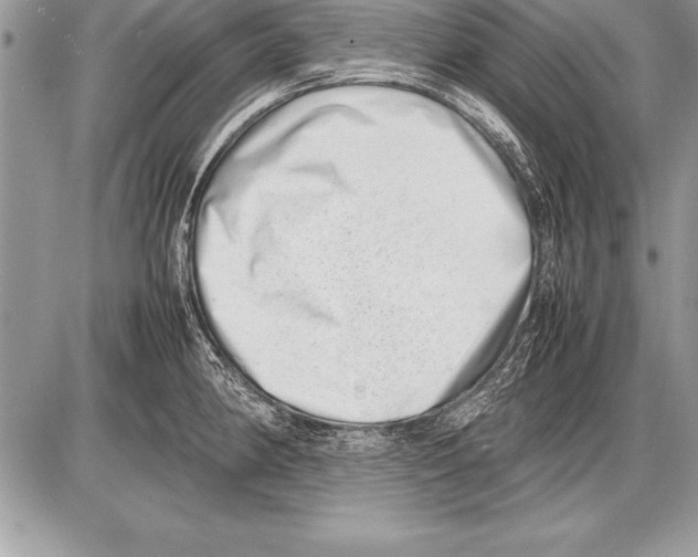 X0000085731190200704131611