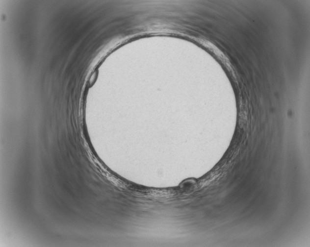 X0000085731191200704131611