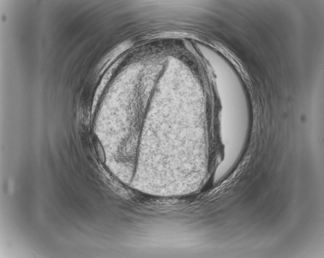 X0000085731193200704131611