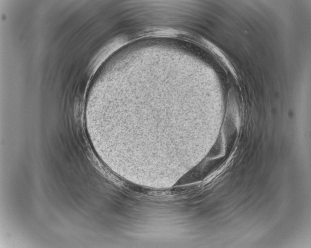 X0000085731194200704131611