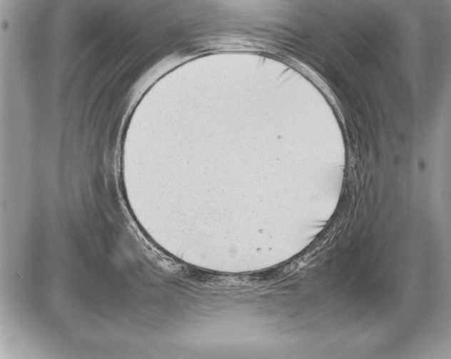 X0000085731195200704131611