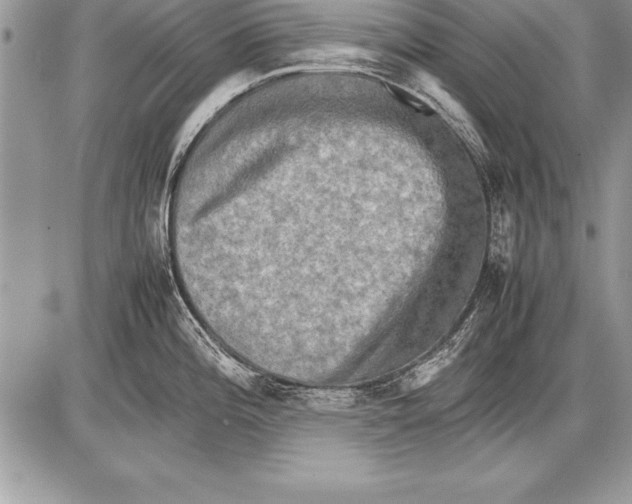 X0000085731196200704131611