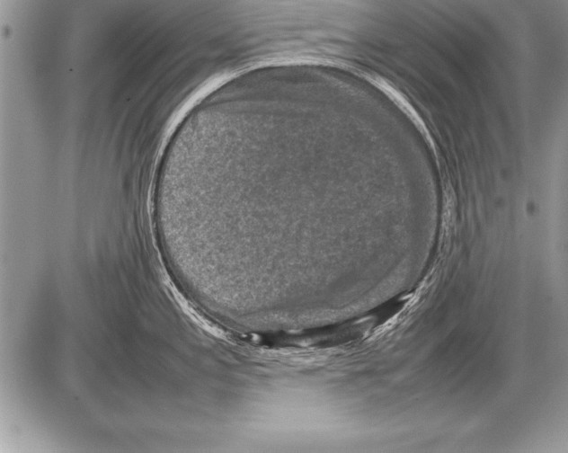 X0000085731197200704131611