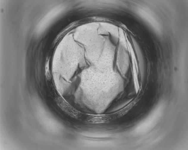 X0000085731198200704131611