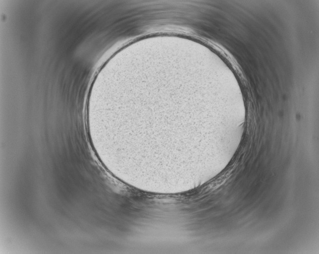 X0000085731199200704131611