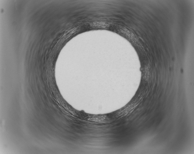 X0000085731201200704131610