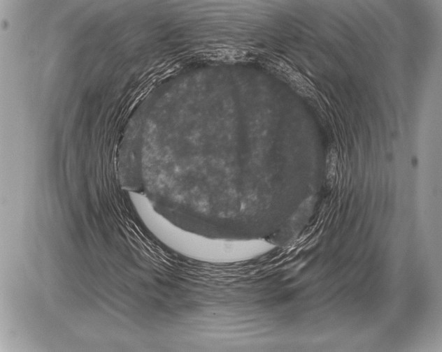 X0000085731202200704131610