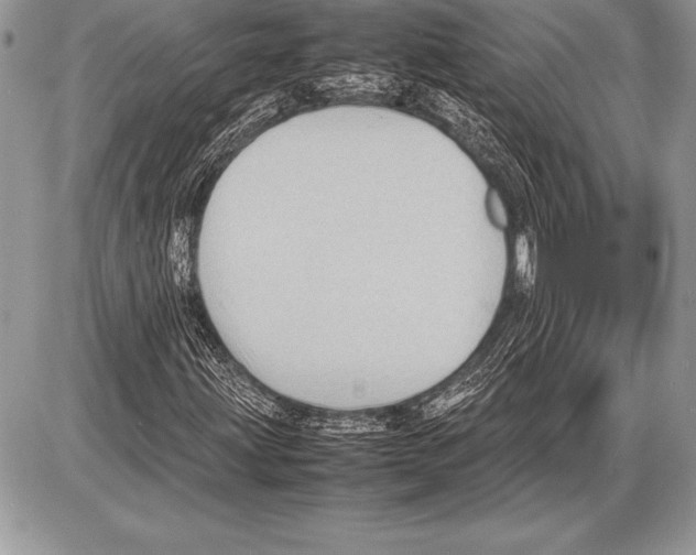 X0000085731203200704131610