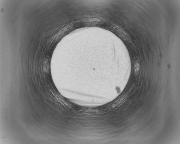 X0000085731204200704131610