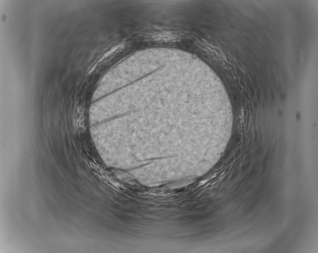 X0000085731205200704131610