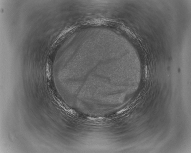 X0000085731206200704131610