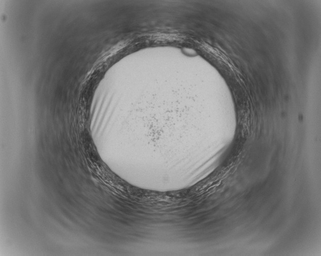 X0000085731207200704131610