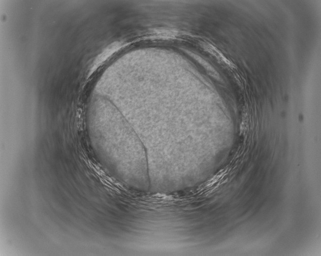 X0000085731208200704131610