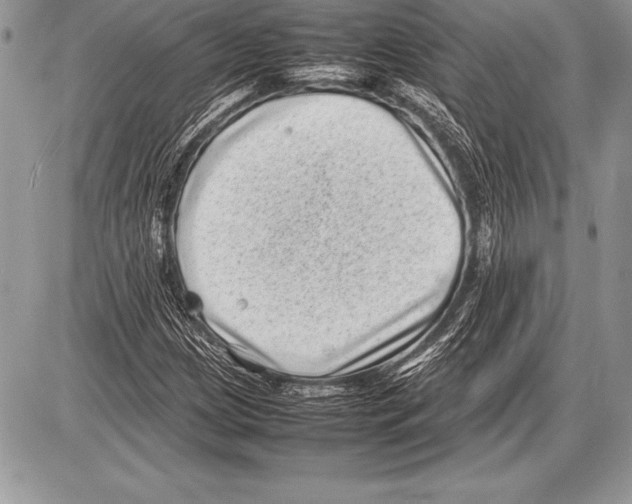 X0000085731209200704131610