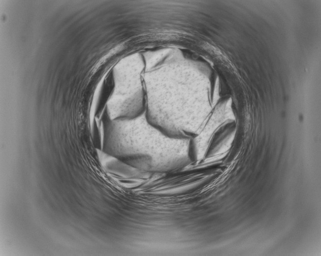 X0000085731210200704131610