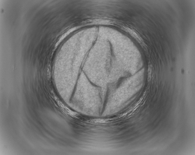 X0000085731212200704131610