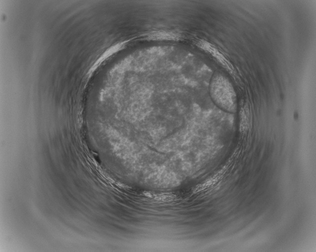 X0000085731213200704131610