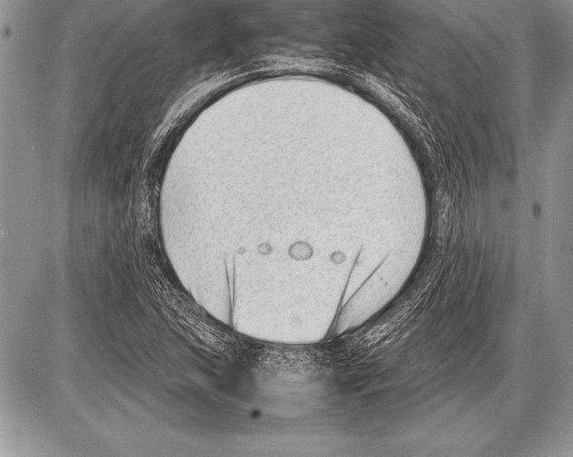 X0000085731215200704131610