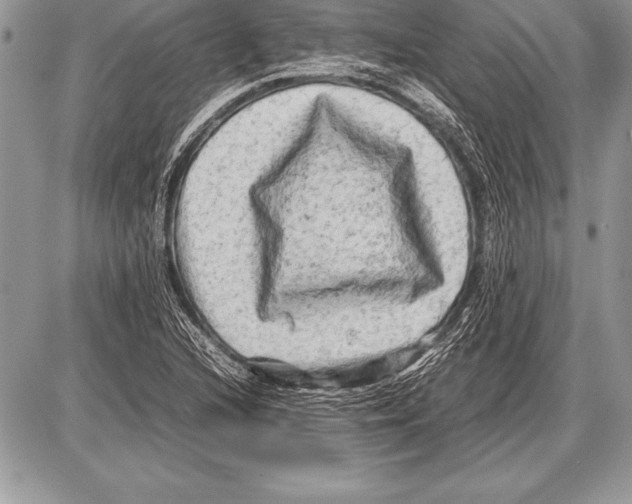 X0000085731216200704131610