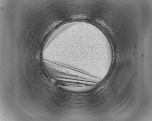 X0000085731217200704131610