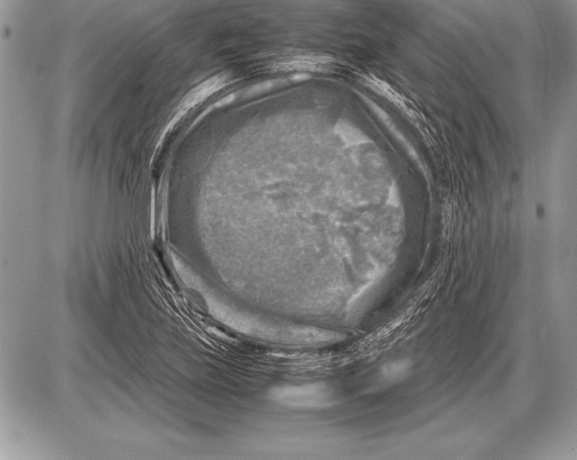 X0000085731219200704131611