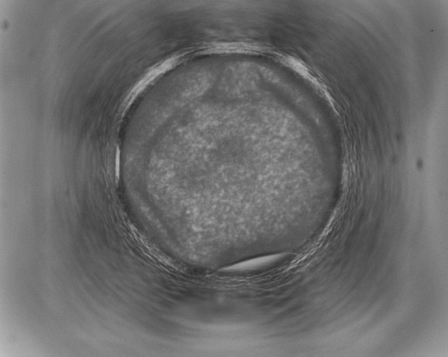 X0000085731221200704131611