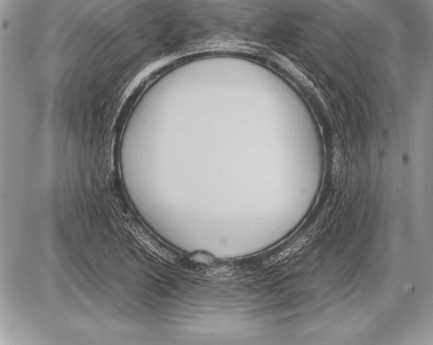 X0000085731222200704131611