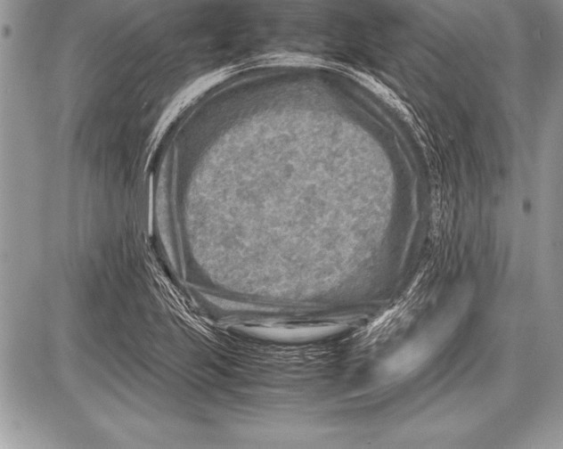 X0000085731223200704131611