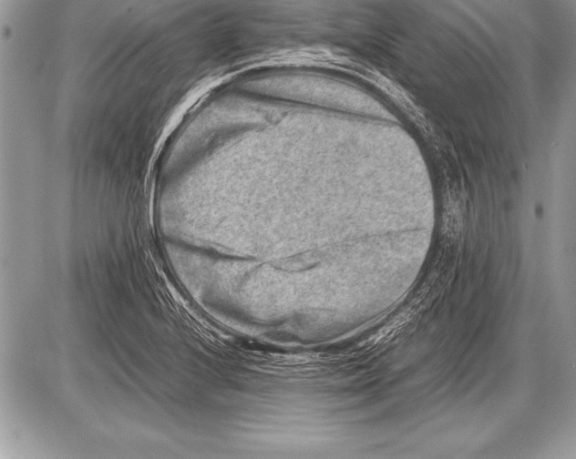 X0000085731224200704131611