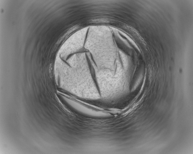 X0000085731225200704131611